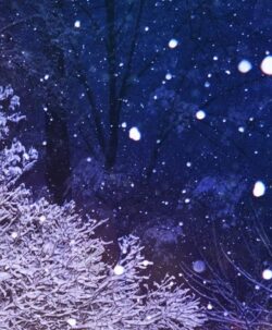 ColorWool Merino vinternatt illustrasjon