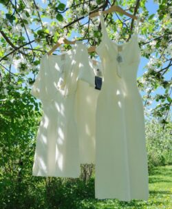 Vera & William Dame Vintage Pointelle underkjole i merinoull og silke champagne