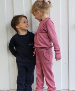 Vilje & Ve